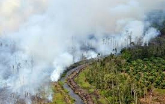 Seluruh Kades Harus Siaga Kebakaran Hutan